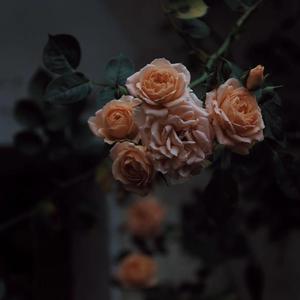 揉我胸⋯啊⋯嗯～出奶了3D
